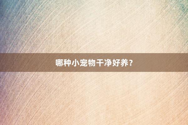 哪种小宠物干净好养？