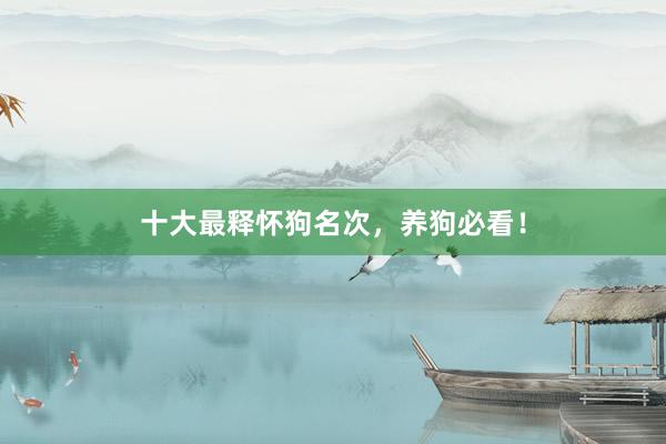十大最释怀狗名次，养狗必看！