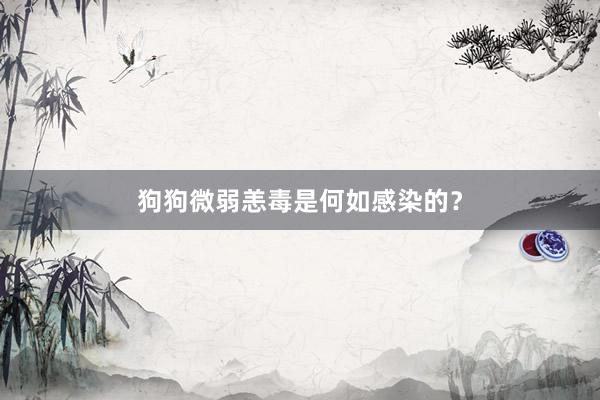 狗狗微弱恙毒是何如感染的？