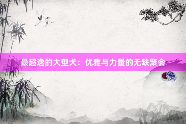 最超逸的大型犬：优雅与力量的无缺聚会