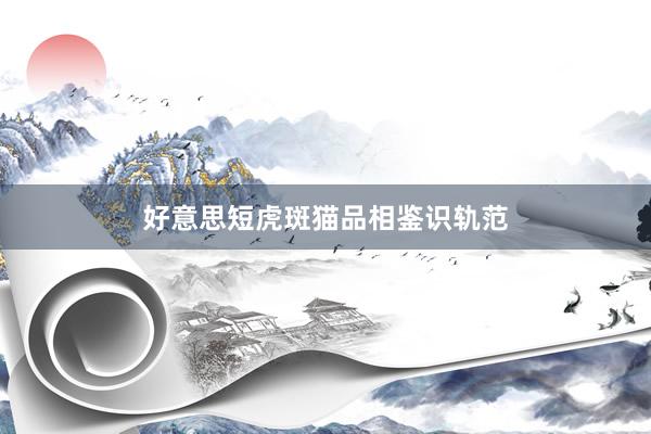 好意思短虎斑猫品相鉴识轨范